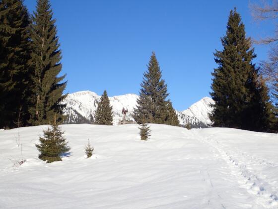 Dickkopf, 1204 m