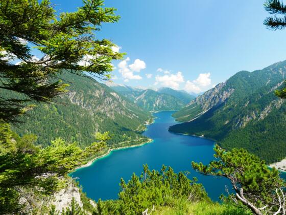 Der Plansee