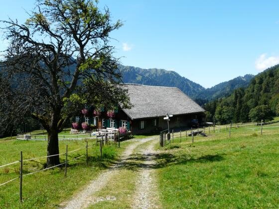 Die Ornachalpe