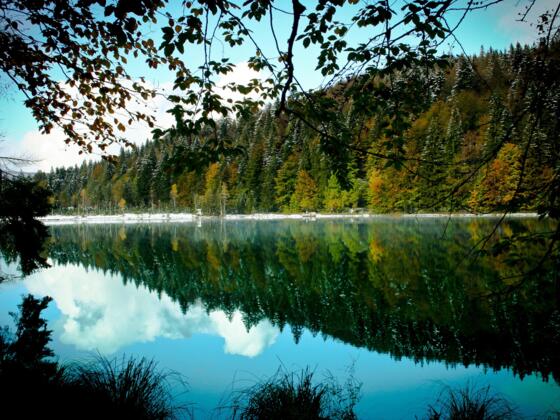 Der malerische Frillensee.