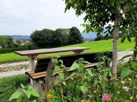 Nussbankerl mit Aussicht