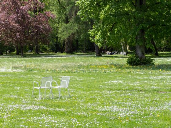 Sommer im Luitpoldpark