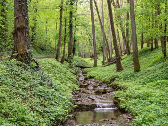 Kaskadentalbach Bad Kissingen