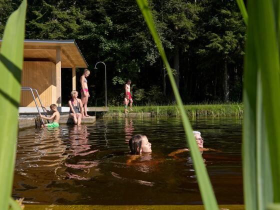 Moorbad Oberköhler in Sulzberg