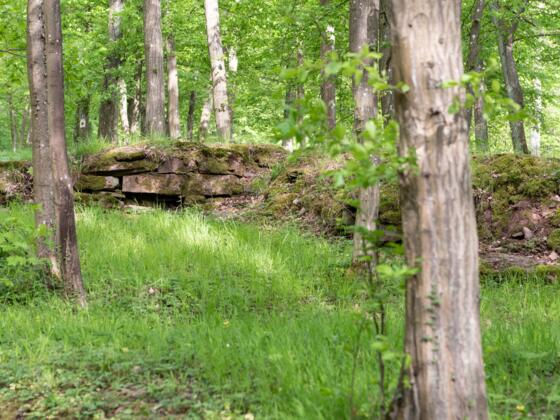 Ruine Eiringsburg Bad Kissingen