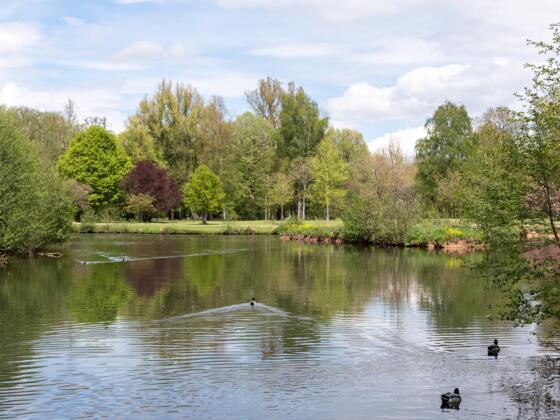 Saale Luitpoldpark