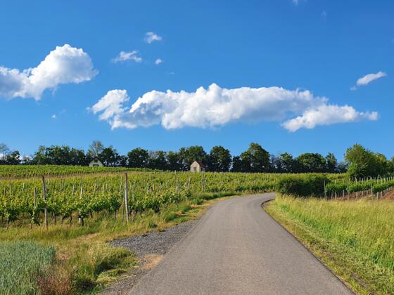 Radweg zwischen Traustadt und Falkenstein