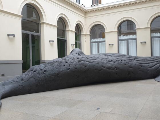 Gil Shachar, The Cast Whale Project, 2021