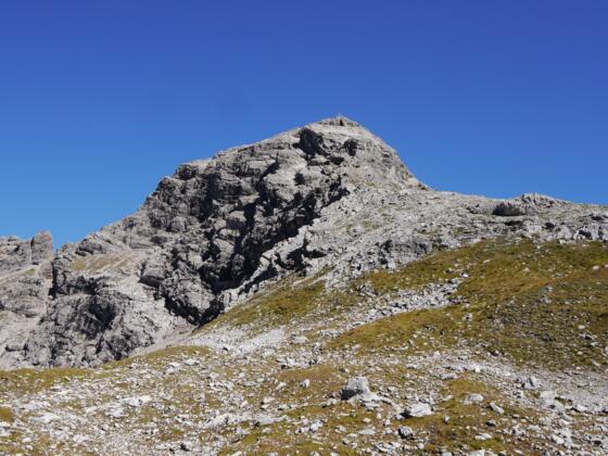 Wilder Kasten von Süden