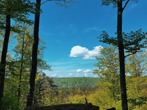 Aussichtspunkt mit Bank