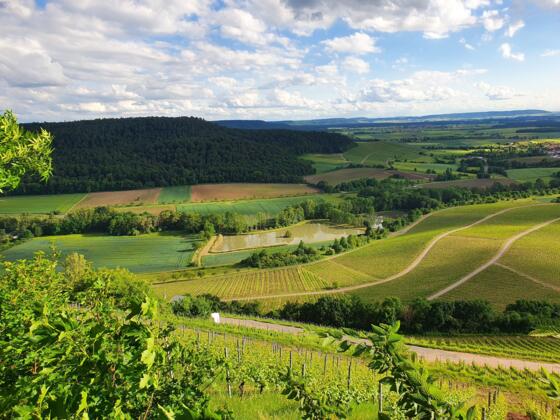 Aussicht von Stollburg Ruine