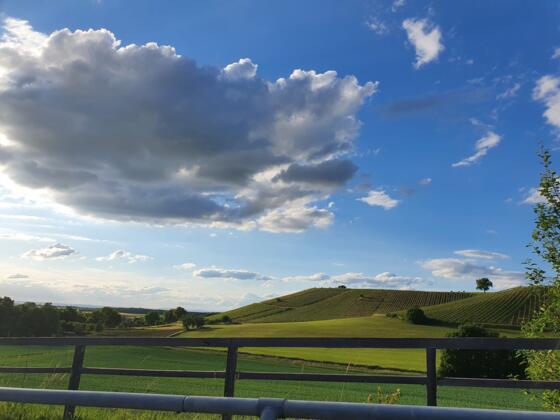 Blick auf Essigberg bei Michelau - ehemalige Zisterzienser Weinberglandschaft