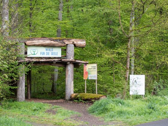 Wald für die Seele Bad Kissingen