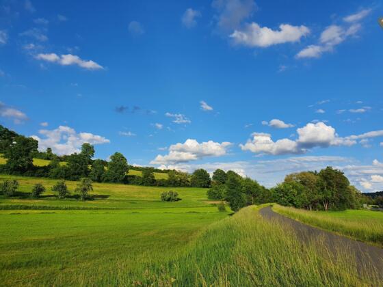 Radweg Ebrach Richtung Burgwindheim
