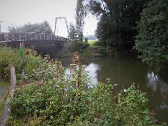 Mainzusammenfluss
