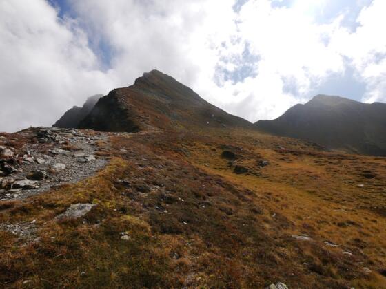 Sagtaler Spitze (Standkopf)