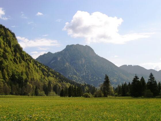 Blick von Westen auf den Laber.