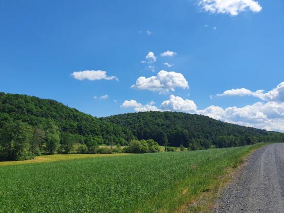 Radweg zwischen Unterschleichach und Tretzendorf im Aurachtal