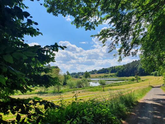 Blick auf die Tretzendorfer Weiherkette