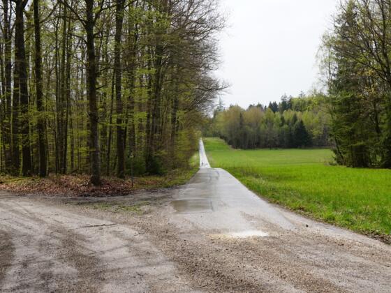 Unterwegs im Hienheimer Forst auf den Spuren von Rittern, Römern &amp; Wacholder