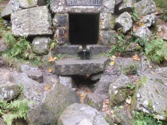 Weißmainquelle
