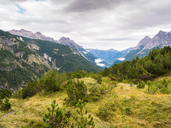 Blick vom Kanzbergrücken nach Osten.