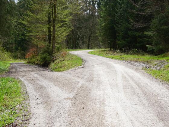 Unterwegs im Hienheimer Forst auf dem &quot;Weitwandern Altmühltal - Ritter, Römer &amp; Wacholder&quot;