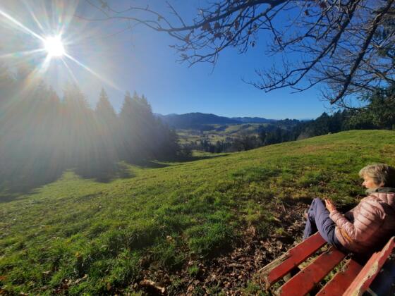 Aussichtspunkt oberhalb der Thalhofer Alpe