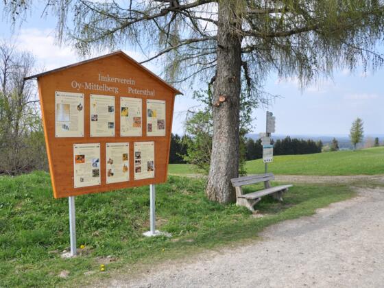 Bienen-Informationstafel