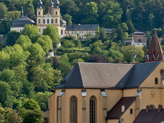 Würzburger Käppele, Blick vom Main