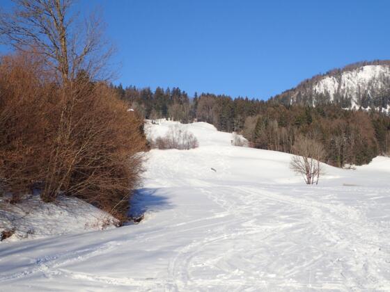 Start in Oberwinkl