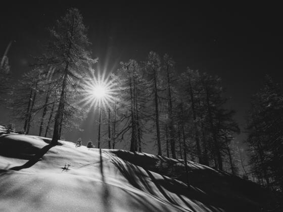 Winterlandschaft