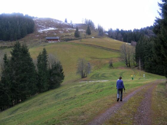 Rocheralm