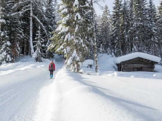 Winter-Idyll im Katzenloch.