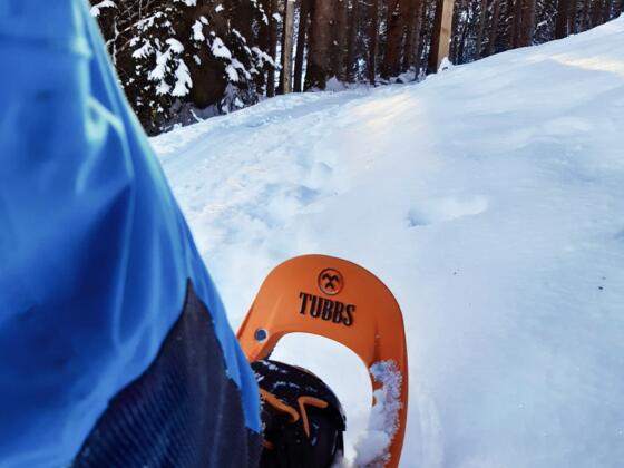Schneeschuhwanderung Alpendorf