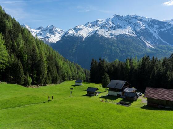 Wiesle - Sommer