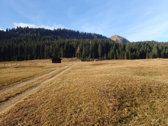 Bei der Innerlienbachalm, Astegg und Labenberg im Hintergrund