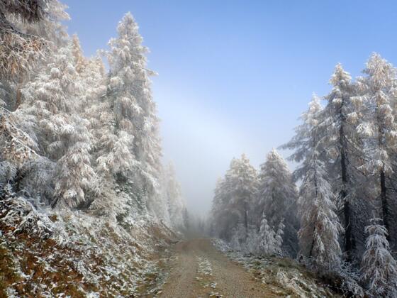 Raus aus dem Nebel