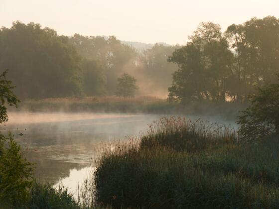 Blick auf die Altwasser des Inns