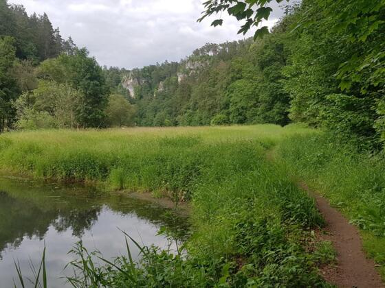 Wiesenttal bei Rabeneck