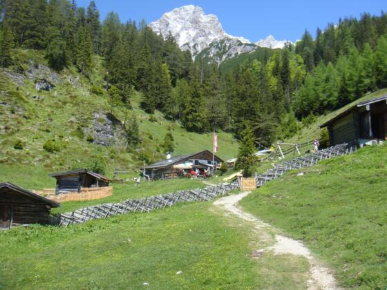 Steinalm