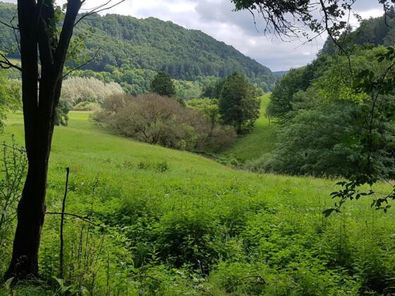 Trubachtal