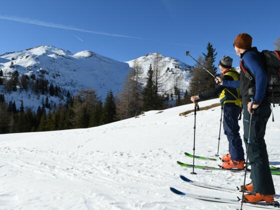 Blick auf die Nordhänge des Grubenkopfs.