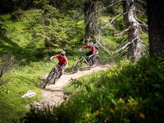 Unterwegs am Papfienz Trail