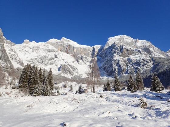 Neuschnee im Birgkar