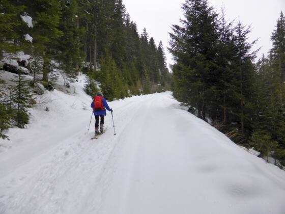 Am Fahrweg Richtung Kocherhütte