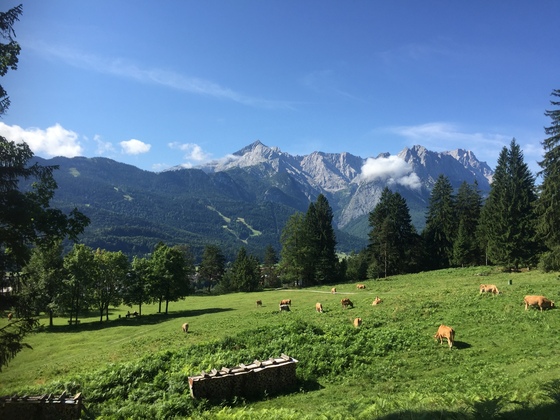 Blick vom Kramerplateauweg auf das Alpspitz und Zugspitzgebirge