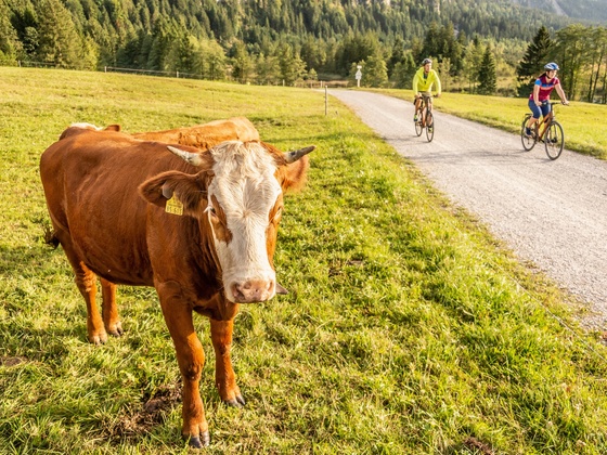 Die gut ausgebauten Radwege im Loisachtal