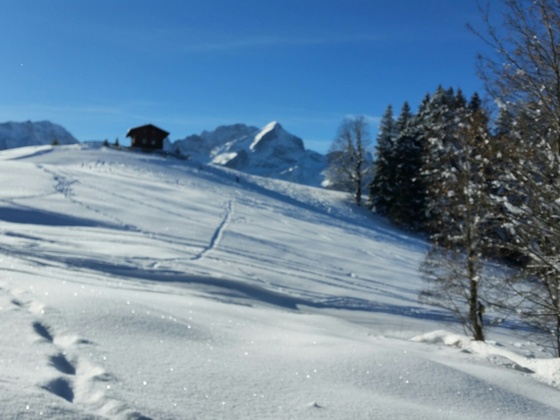 Blick auf die Alpspitze