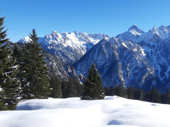 Winterwanderweg in herrlicher Winterlandschaft